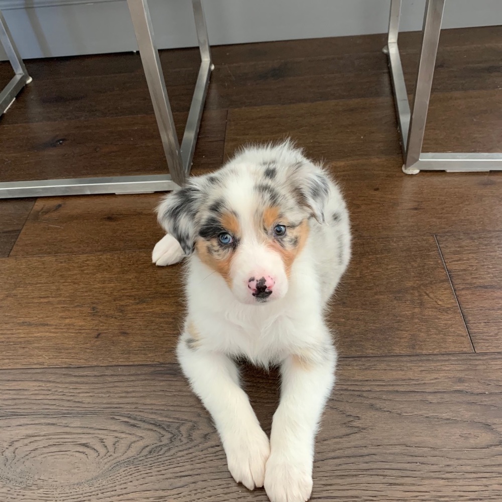 Meet your Posher, Olivia